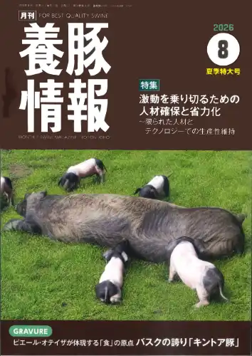 養豚情報
